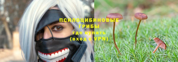 mix Вяземский