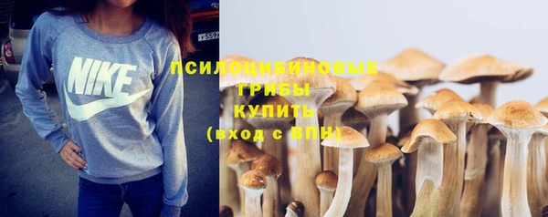 ешки Абинск