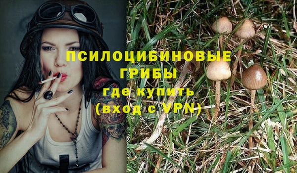 марки nbome Алзамай