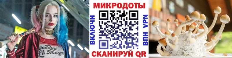 мориарти официальный сайт  Тюмень  Галлюциногенные грибы Cubensis 